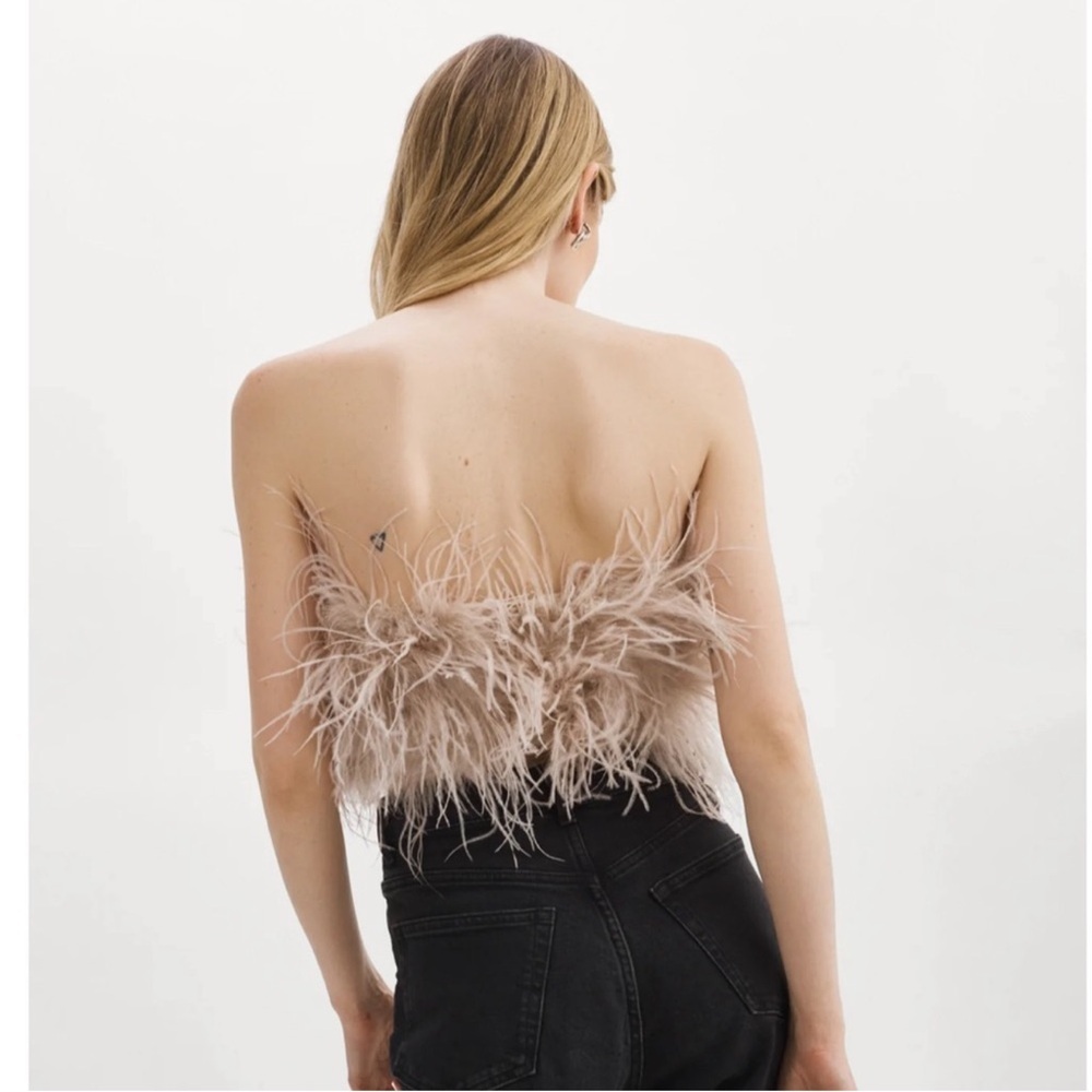 Lamarque Feathered Crop Top in Dusty Pink - Picture 4 of 12